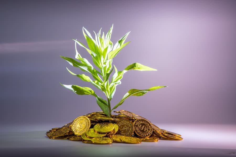 Photo Investment portfolio