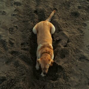 Photo Laptop and beach